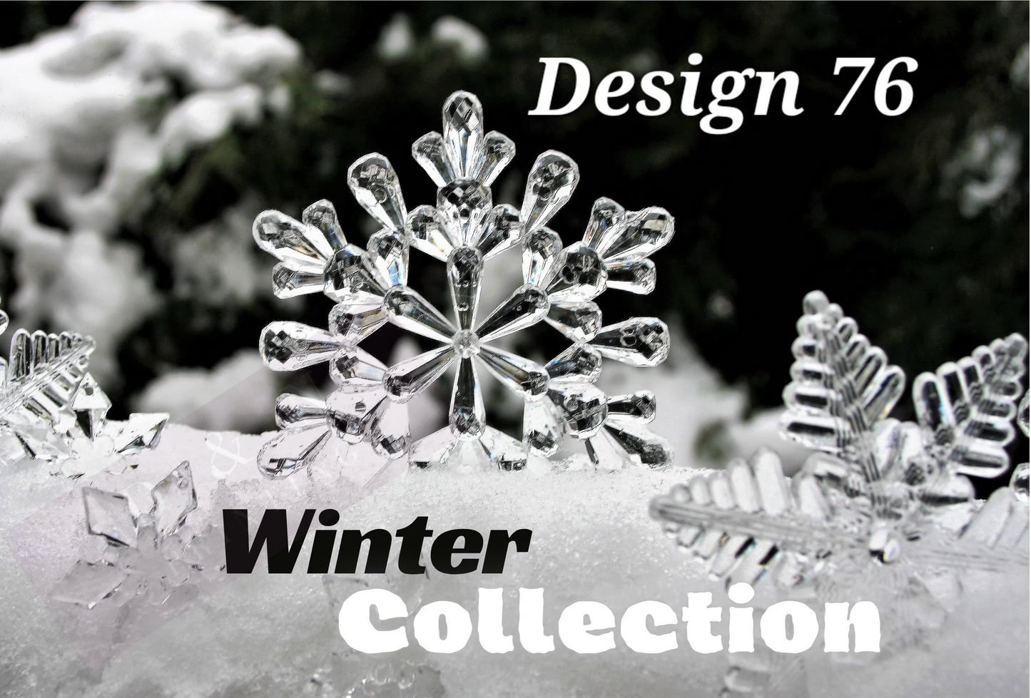 Christmas & Winter Collection Box Labels