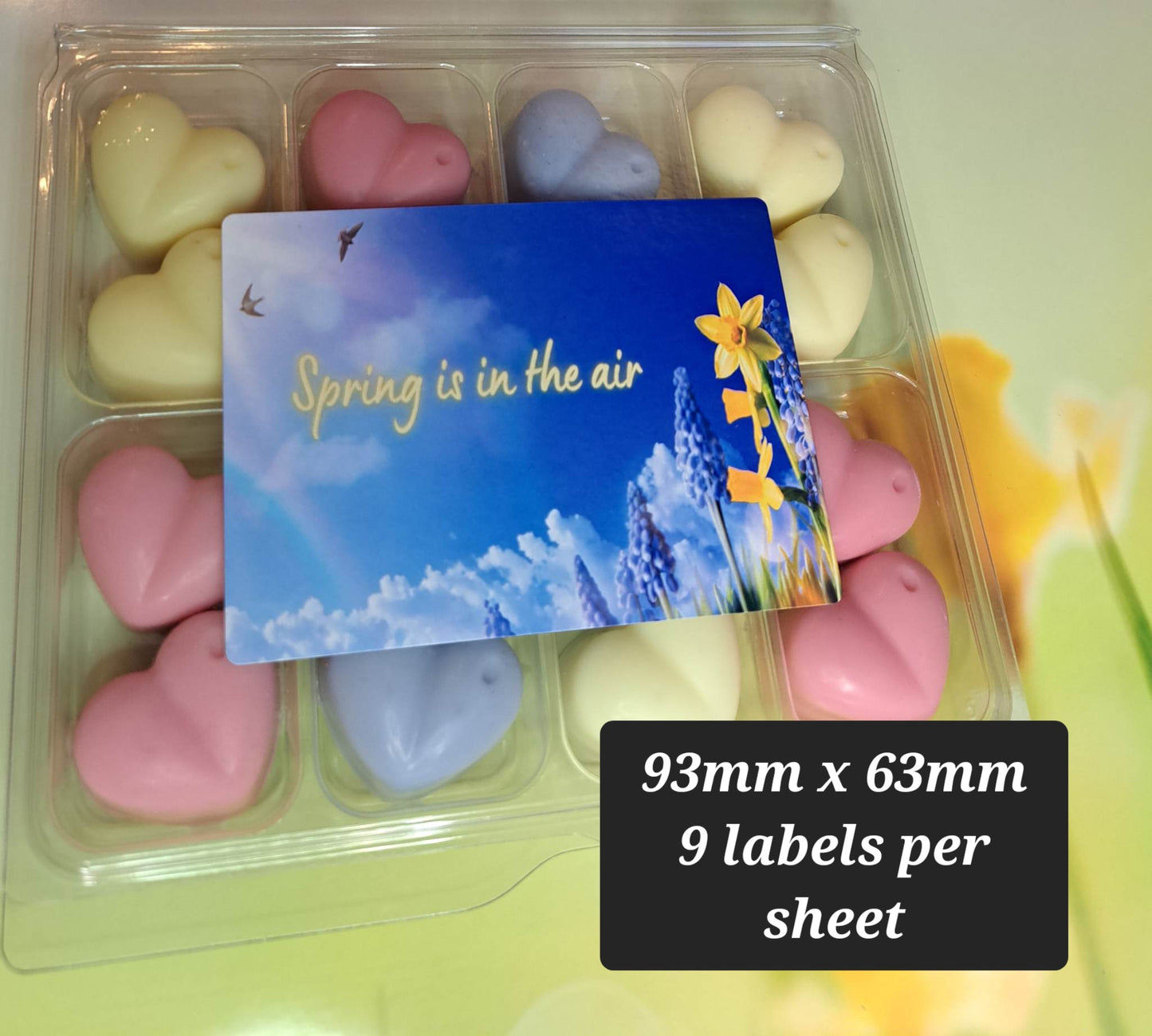 Upload your own design in Matte or Gloss Collection Labels rectangle